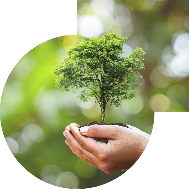 關懷人類、文化、環境與社會